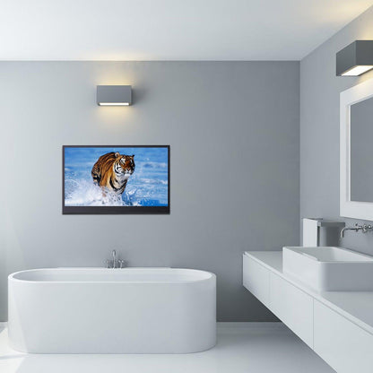 Soulaca 27" Smart Black LED Bathroom Waterproof TV IP66 Android TV WiFi&Bluetooth-Soulaca